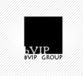 BVIP group, UAB