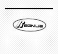 Regnija, UAB