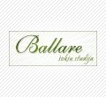 Šokių studija Ballare, VšĮ
